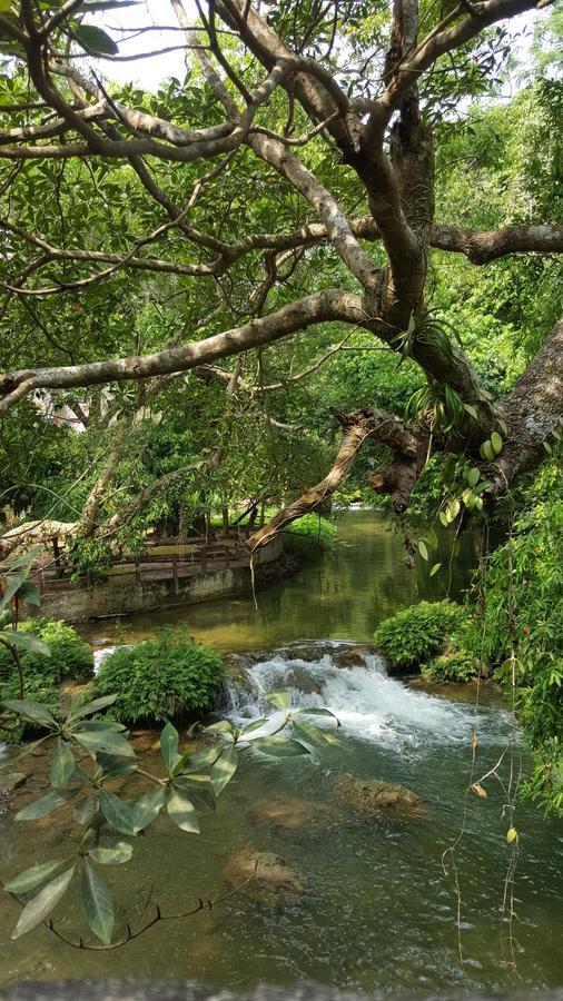 Khao Nam Fah Resort Pak Chong Eksteriør bilde